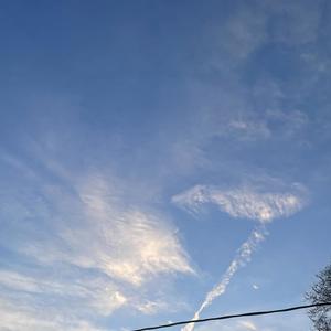 CONFIDENCE (Explicit)