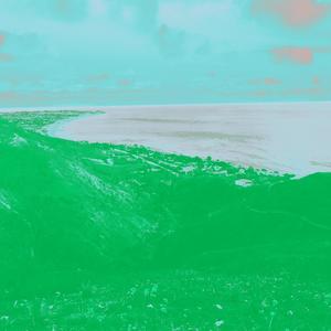 Loyalty(feat. Tracksmith) (Explicit)