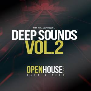 Open House Deep presents Deep Sounds, Vol. 2