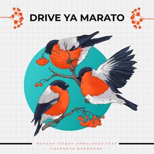 Drive Ya Marato (feat. Casanova Bardmarn Cmb)