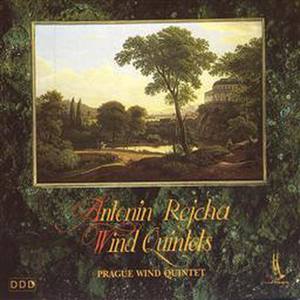 Wind Quintet In B Flat Major, Op. 100, No. 6 Iv. Andante. Allegro Assai