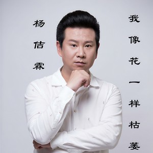 我像花儿枯萎 (伴奏)