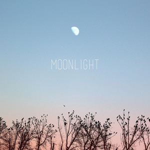 Moonlight