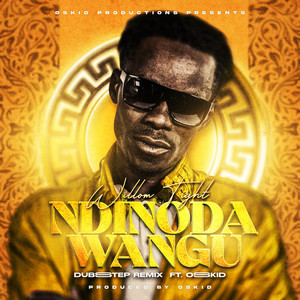 Ndinoda Wangu (Dubstep Remix)