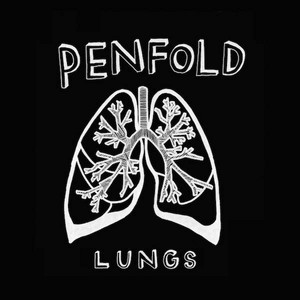 Lungs