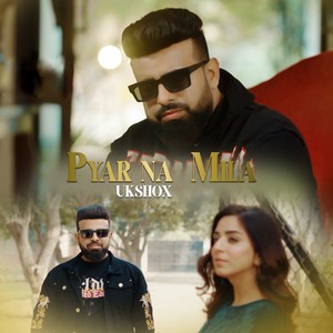 Pyaar Na Mila (Remix)