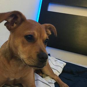 Youngkidzz Freestyle (Explicit)