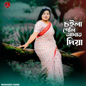 চইলা গেলি আঘাত দিয়া