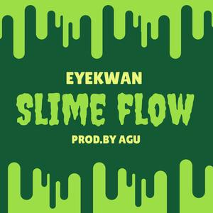 Slime Flow (Explicit)
