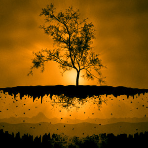 Верит делам