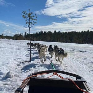 你好像只会背刺
