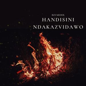 Handisini Ndakazvidawo