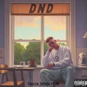 DND (feat. AH) (Explicit)