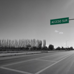 Romance de la Paloma y el Olivo