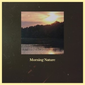 I Dream of Fried Green Tomatoes