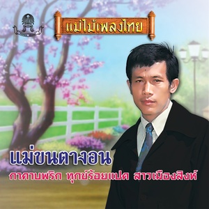 แม่ขนตางอน