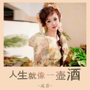 人生就像一壶酒 (伴奏)