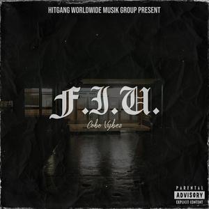 Cobo Vybez - F.I.U. (Explicit)