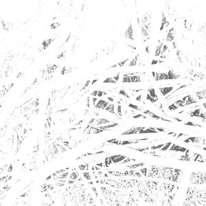 A New Ceiling