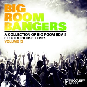 Big Room Bangers, Vol. 13