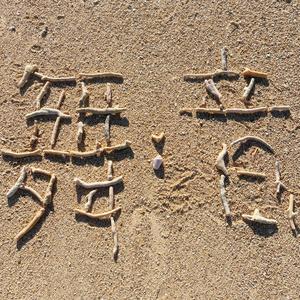 Don't Forget Japanese Style (feat. kokoro) (VIP Mix)