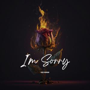 I'm Sorry (feat. Yxng Navy, Yng Jestro, Twist Prolific & Akino) [Explicit]