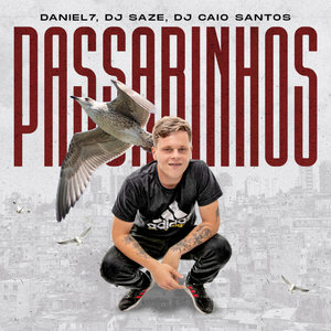 Passarinhos