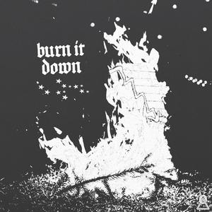 Burn it Down