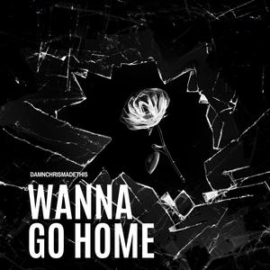 WANNA GO HOME (Explicit)