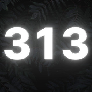 313 4 LIFE (Explicit)