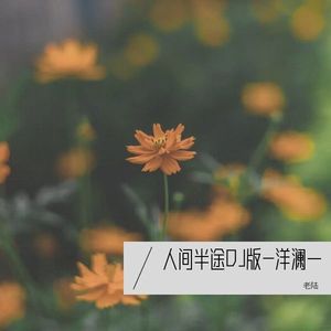 人间半途DJ版-洋澜一