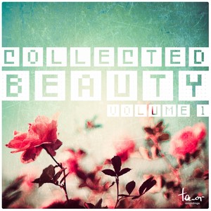 Collected Beauty, Vol. 1