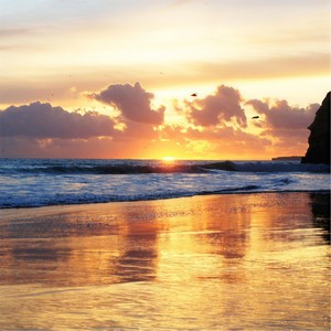 Spirit of the Warm Ocean Waves(feat. Shakti Ros)