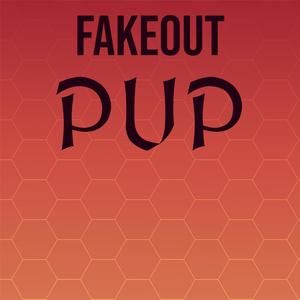 Fakeout Pup