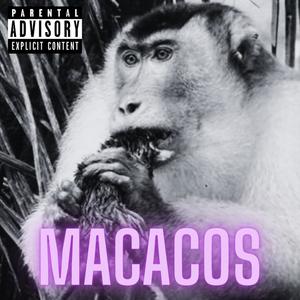 Macacos (Explicit)