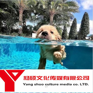三哥回归大陆 (BGM)