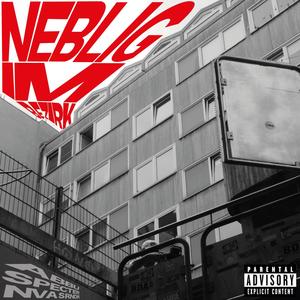 NEBLIGIMBEZIRK (feat. Maxi Melanko) (Explicit)