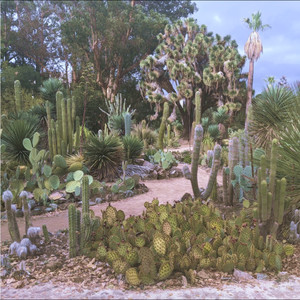 You Can't Understand