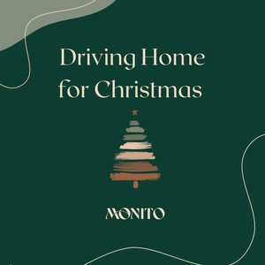 Driving Home for Christmas