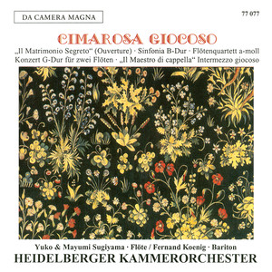 Il Maestro di capella (Intermezzo giocoso) - Il Maestro di capella (Intermezzo giocoso) : VI. Ci sposeremo