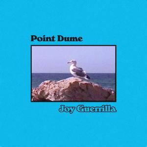 Point Dume (Daytime)