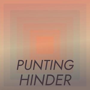 Punting Hinder