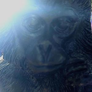 po co mi było (feat. Zdechły Osa)