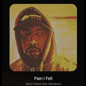 Pain I Felt (2005) (feat. Nauseous) [Explicit]