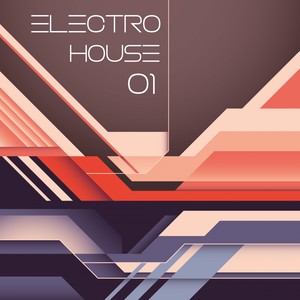 Electro House 01