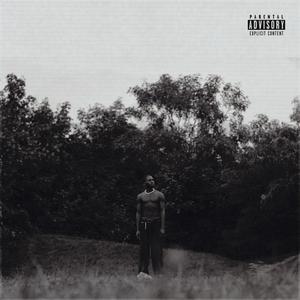 DELUSIONAL (feat. Nkumbu A.S, Esme Machado & YnLegacy) (Explicit)