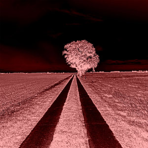 Lost (The Micronaut Remix)