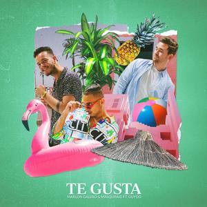 Te Gusta (Explicit)