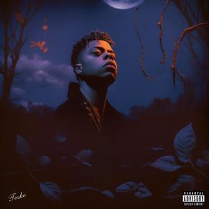 NIGHTFALL (feat. BNYY) (BNYY REMIX|Explicit)