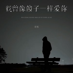 我曾像傻子一样爱你